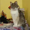 Отзыв от Дина Дмитриева